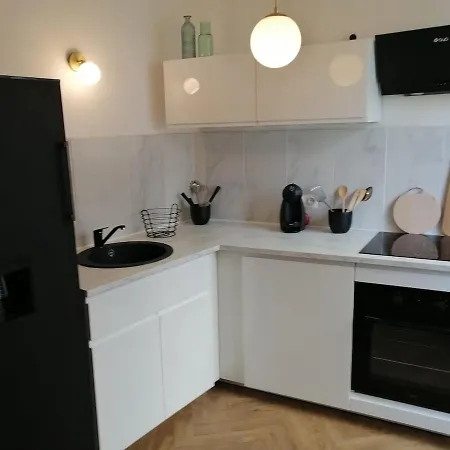 شقة Plein Centre De Avec Balcon فيين